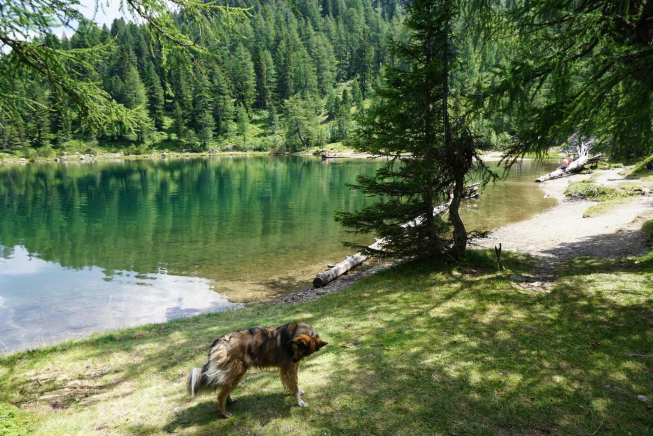 Historic Guesthouse Bircher B&B Apartments Near Sterzing Campo di Trens Eksteriør bilde